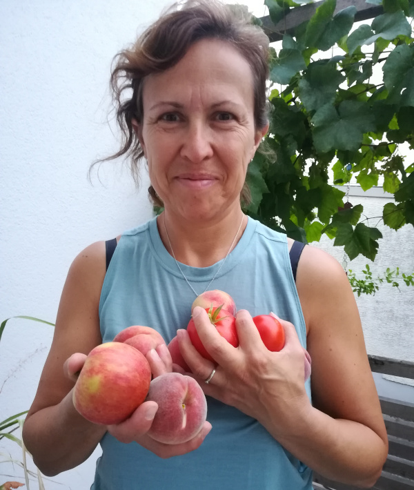 Ich habe geerntet. In unserem Garten. Tomaten, Äpfel, Pfirsiche.